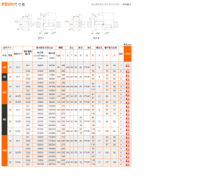 FSVH.htm_20120516221007